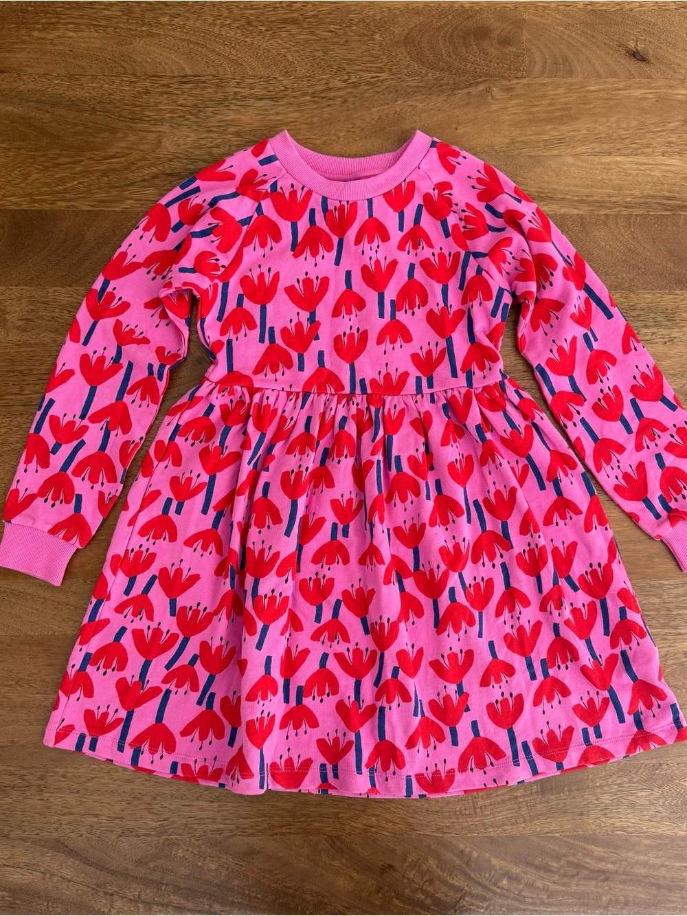 Hanna Andersson Sunset Tulip Pink and Red Sweater Dress
